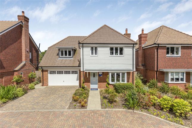 Thumbnail Detached house for sale in Folders Grove, Burgess Hill, West Sussex