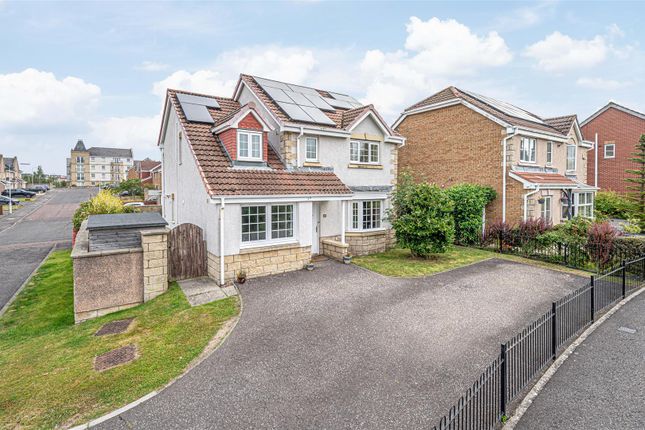 Untitled (1 Of 1).Jpg