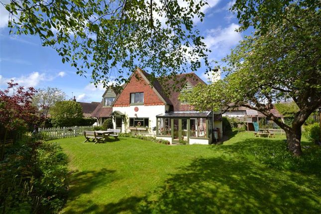 Thumbnail Detached house for sale in Central Amberley, West Sussex