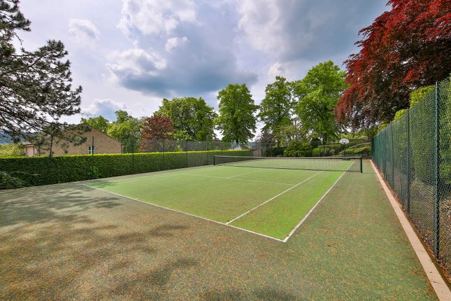 Tennis Courts_1716207950338