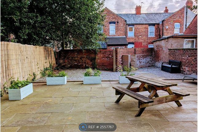 Rear Yard