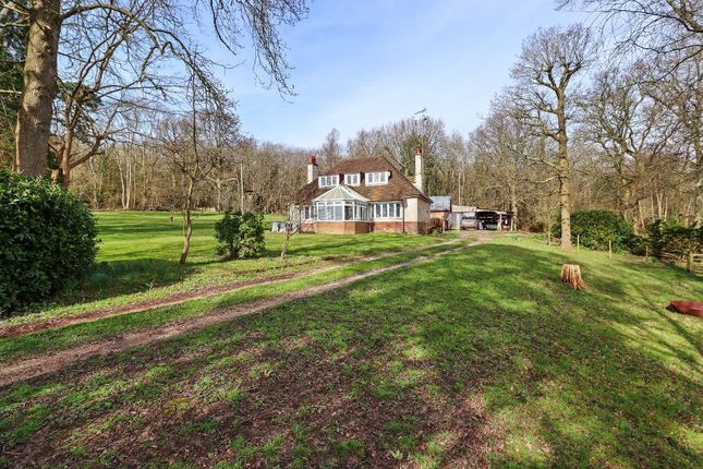Thumbnail Detached house for sale in Kingsley Hill, Rushlake Green, East Sussex