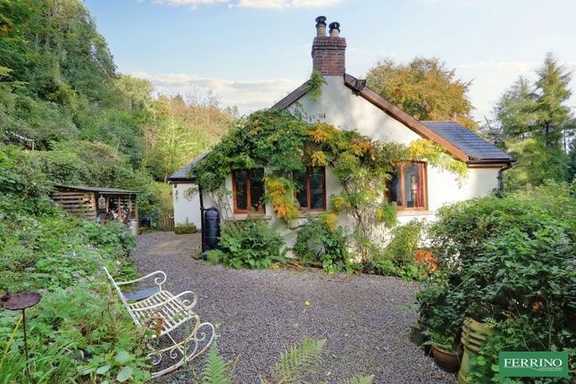 Detached bungalow for sale in Wigpool, Mitcheldean, Gloucestershire.
