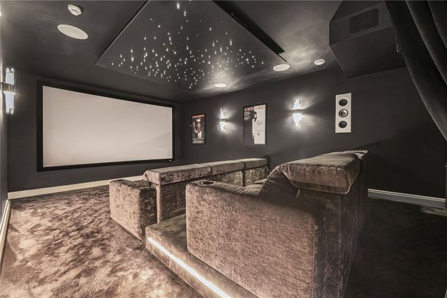 Cinema