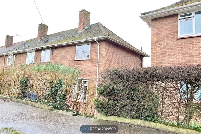 Thumbnail Terraced house to rent in Wilberforce Road, Norwich
