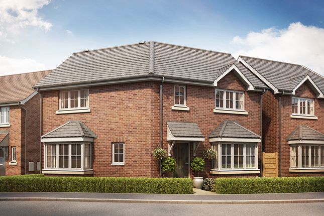 Thumbnail Detached house for sale in Clent View, Haden Cross, Cradley Heath