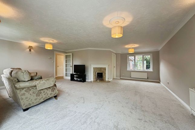 6, Badger Park, Minehead photo 4