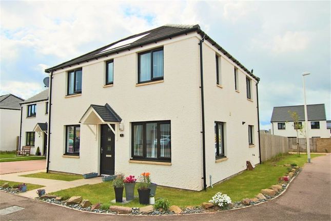 Thumbnail Detached house for sale in Braes Of Gray Crescent, Liff, Dundee