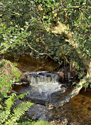 Cottage for sale in Mainsriddle (Coast Road), Dumfries