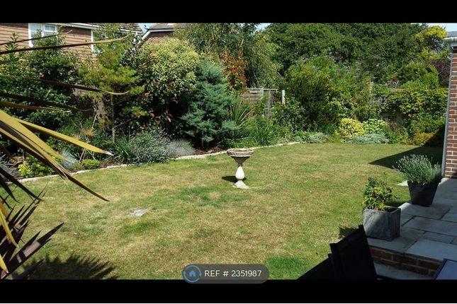 Small Private Garden