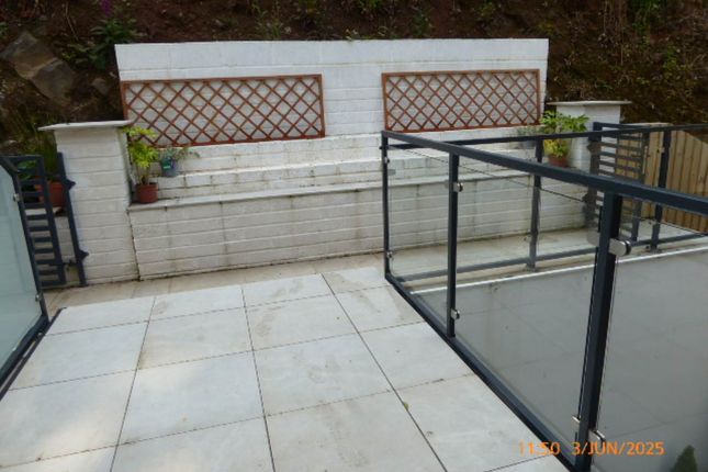 Rear Patio Area