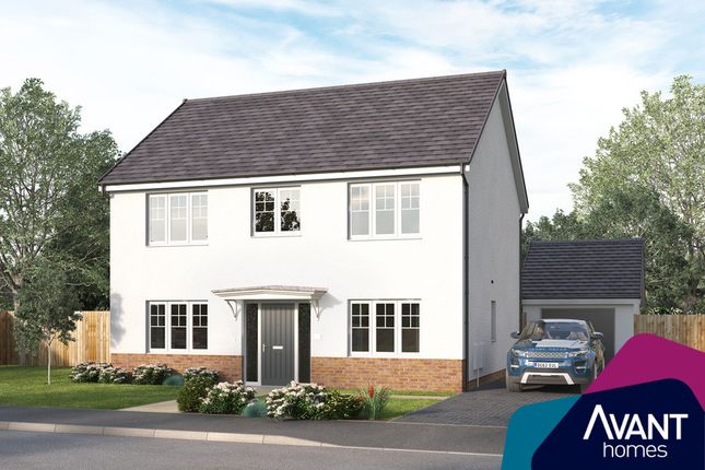 Detached house for sale in "The Palmbrook" at Glenfinnan Wynd, Hamilton
