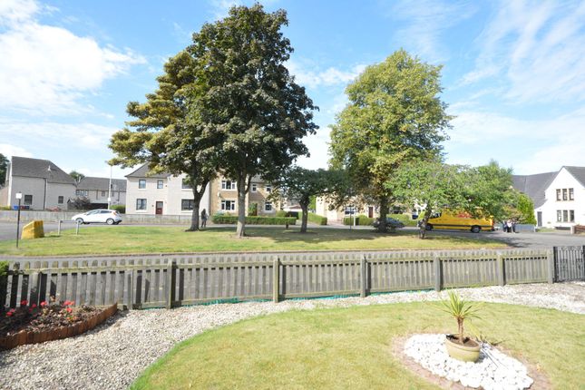 16 Randyford Street, Falkirk photo 4
