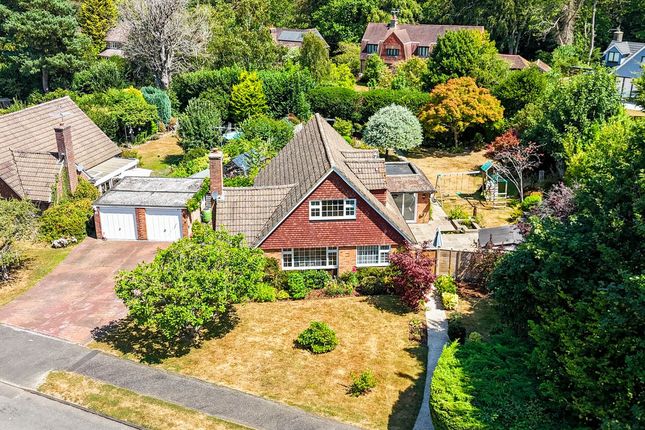 37, Beacon Hill, Lingfield photo 2