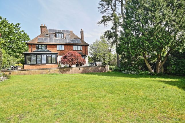 Thumbnail Detached house to rent in Wych Hill Lane, Hook Heath, Woking