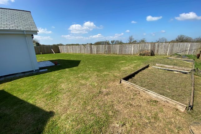 Bungalow to rent in Pancrasweek, Holsworthy