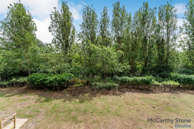 20 Roslyn Court, Lisle Lane, Ely photo 3