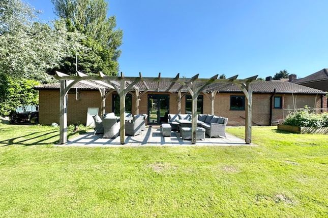 Rear Of Summerhouse