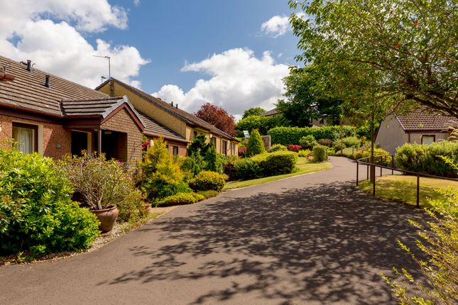 Thumbnail Bungalow for sale in Larchfield Neuk, Balerno