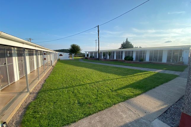 Thumbnail Commercial property for sale in Kennels, Cattery &amp; Equestrian Businesses NP26, Caldicot, Wales