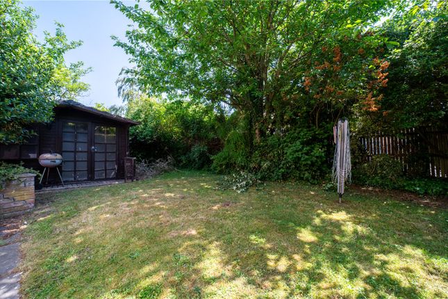 42, Collingwood Fields, Colchester photo 4