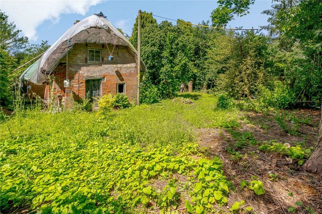 Thumbnail Cottage for sale in Lower Green, Inkpen, Hungerford, Berkshire