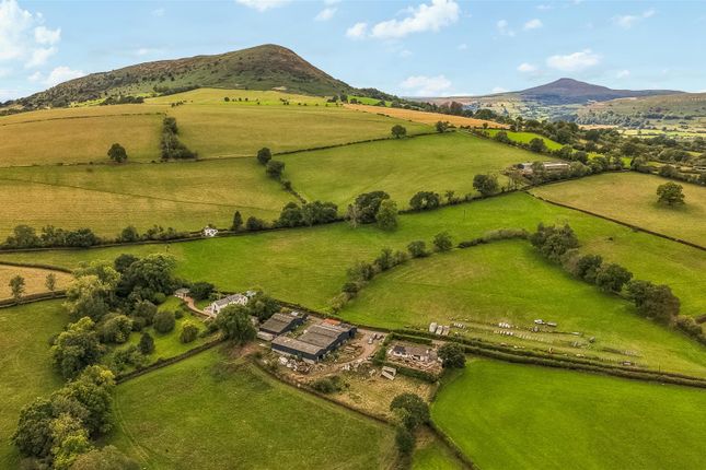Llanvihangel Crucorney, Abergavenny photo 2