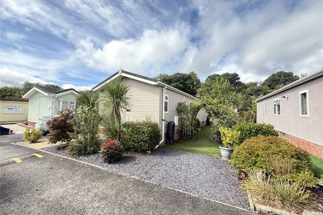 37, Mill on the Mole, Devon photo 5