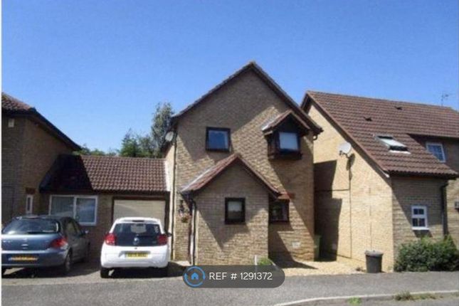 Thumbnail Detached house to rent in Chevalier Grove, Crownhill, Milton Keynes
