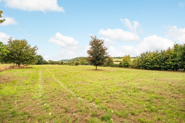 Holmelands, Foxcote, Somerset photo 3