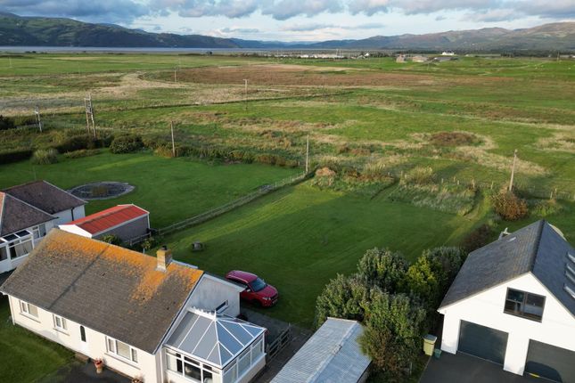 Little Acre, Borth photo 2