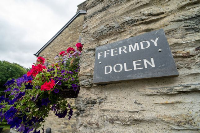 Dolen Farm, Machynlleth photo 4