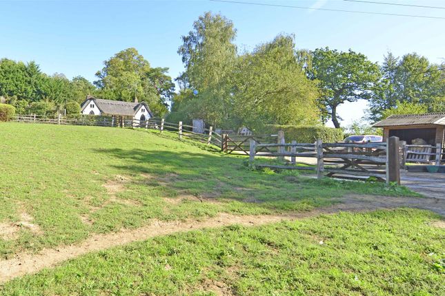 THE THATCHED COTTAGE, Whatlington Road, Battle photo 2