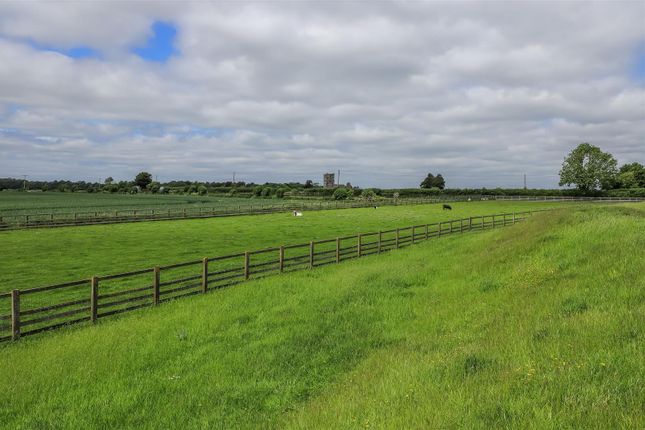 Land