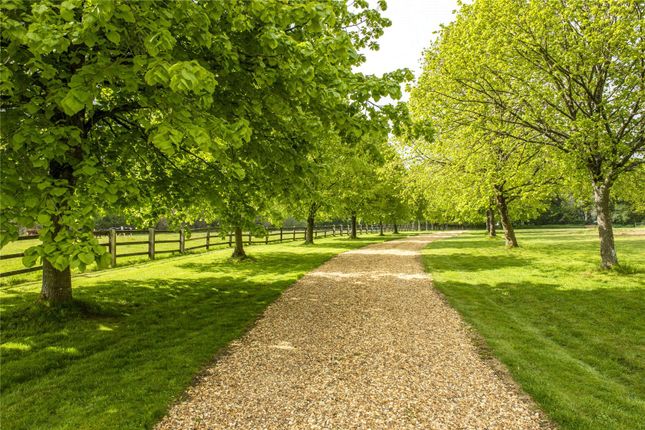 Front Driveway
