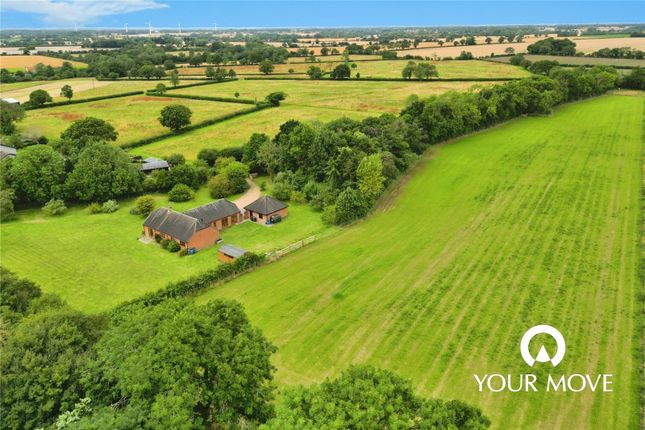 Thumbnail Bungalow for sale in Station Road, Brampton, Beccles, Suffolk