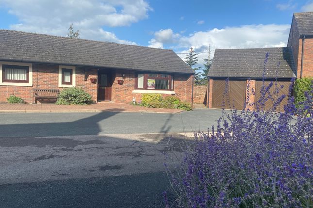 Thumbnail Semi-detached bungalow for sale in Scotby Green Steading, Scotby