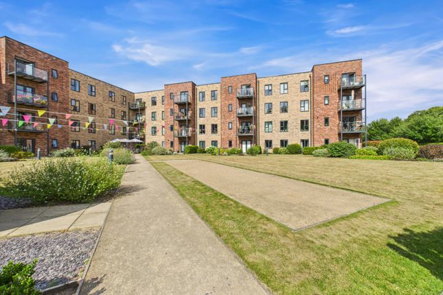 Communal Gardens