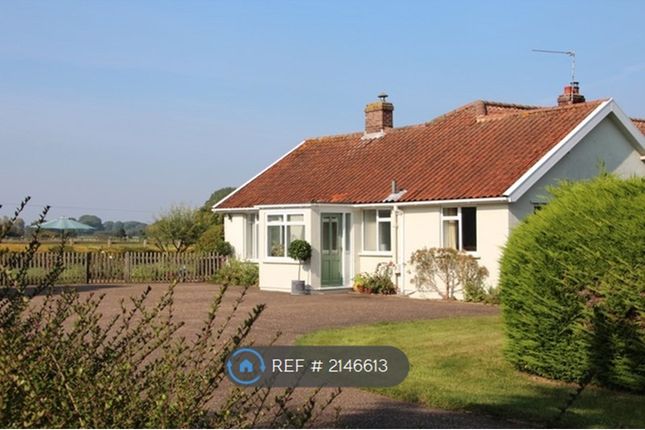 Thumbnail Bungalow to rent in Weston Longville, Norwich