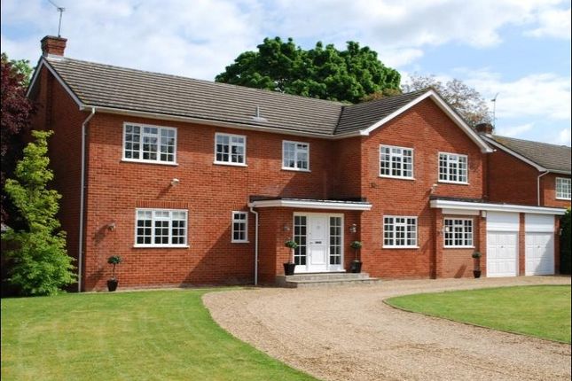 Thumbnail Detached house for sale in Court Drive, Maidenhead