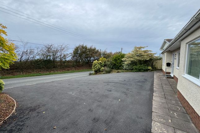 Westerlea, New Quay photo 2
