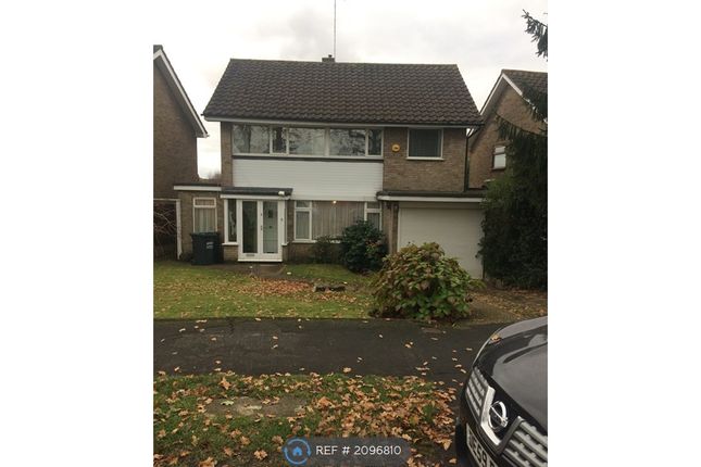 Thumbnail Detached house to rent in By The Wood, Watford