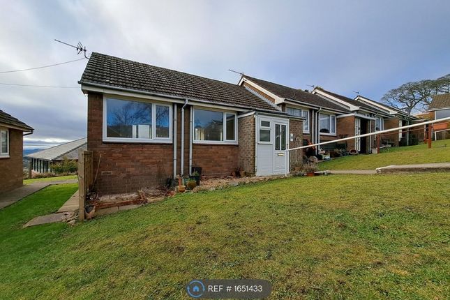 Thumbnail Bungalow to rent in Three Crosses, Clee Hill, Ludlow
