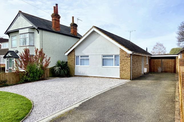 Thumbnail Bungalow to rent in Humber Doucy Lane, Ipswich