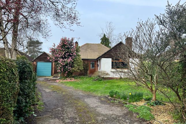Detached bungalow for sale in Nichol Road, Hiltingbury, Chandlers Ford