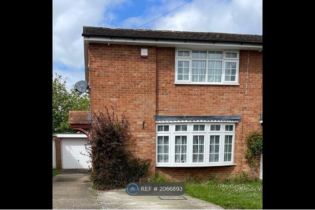 Thumbnail Semi-detached house to rent in Edenham Crescent, Reading