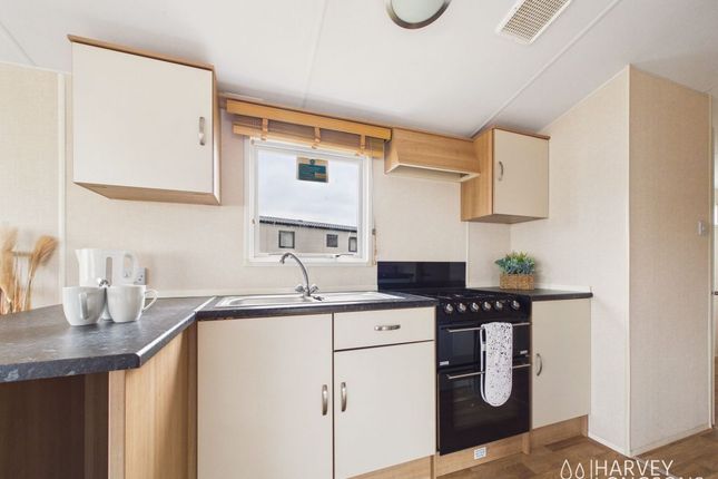 Lossiemouth Holiday Park, Lossiemouth photo 3