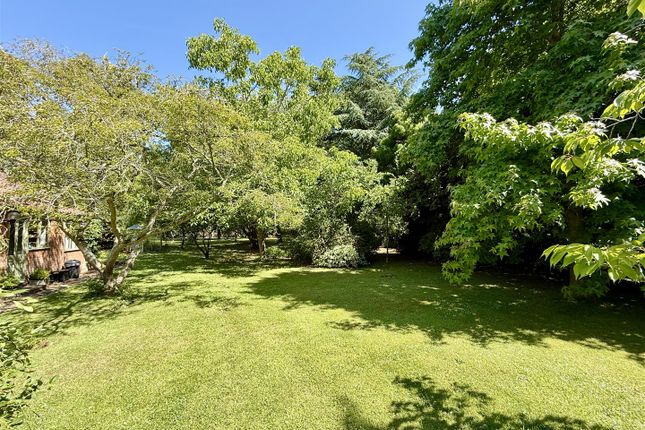 Marsh Cottage, The Loke, North Walsham photo 4