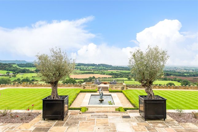 Garden And View