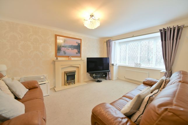16, Augusta Park, Ebbw Vale photo 4